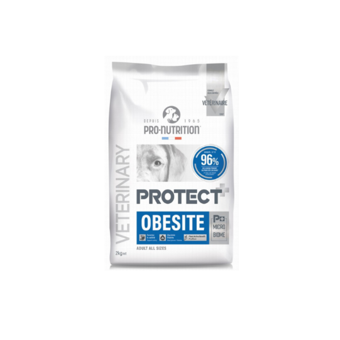 PRO-NUTRITION PERRO PROTECT OBESITE CANINO