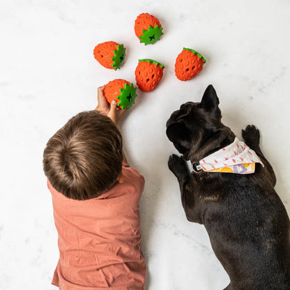 JUGUETE DE GOMA INTERACTIVO FRUTILLA